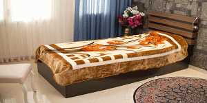 صادرات بهترین مارک پتو